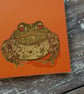 Common Toad Notebook - Image 3