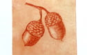 Original nature prints