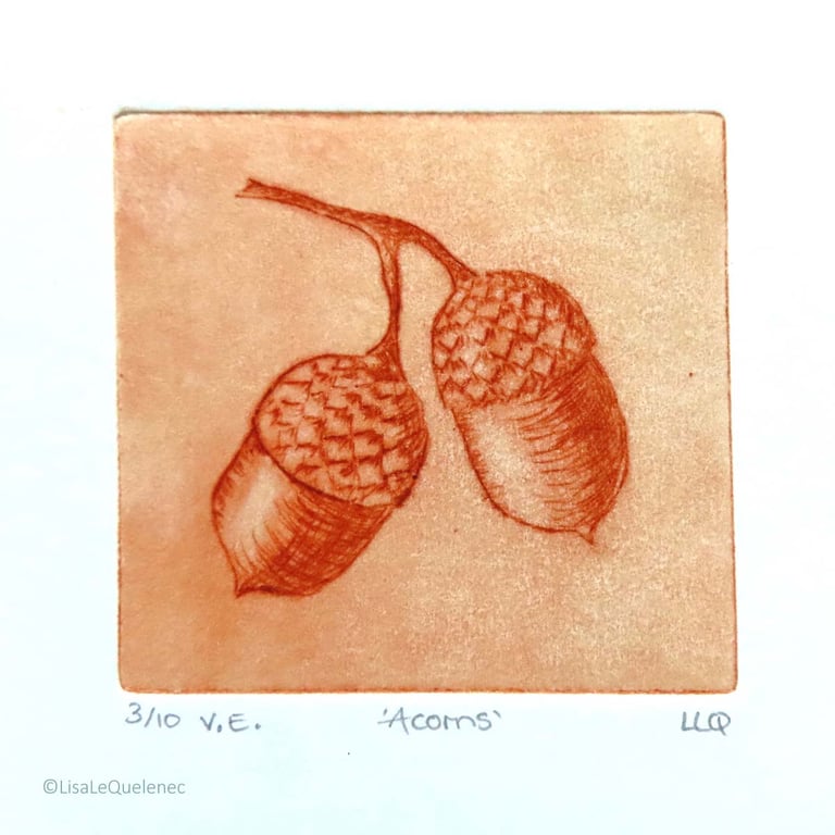 Acorn drypoint no.3 of 10 forest floor shades of autumn small scale print