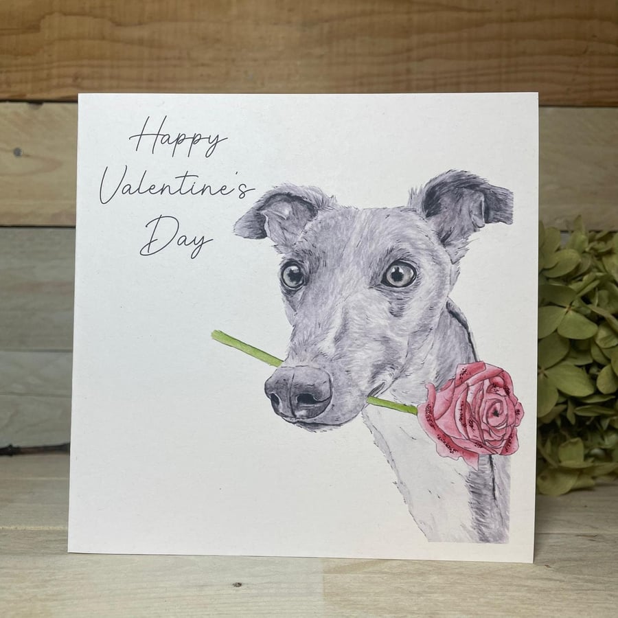 Whippet Valentines Card, sighthound card, greyhound valentine card, dog card