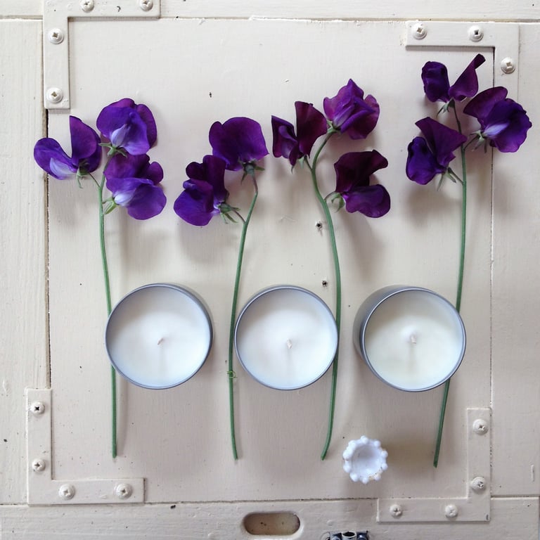 cucumber wood candles