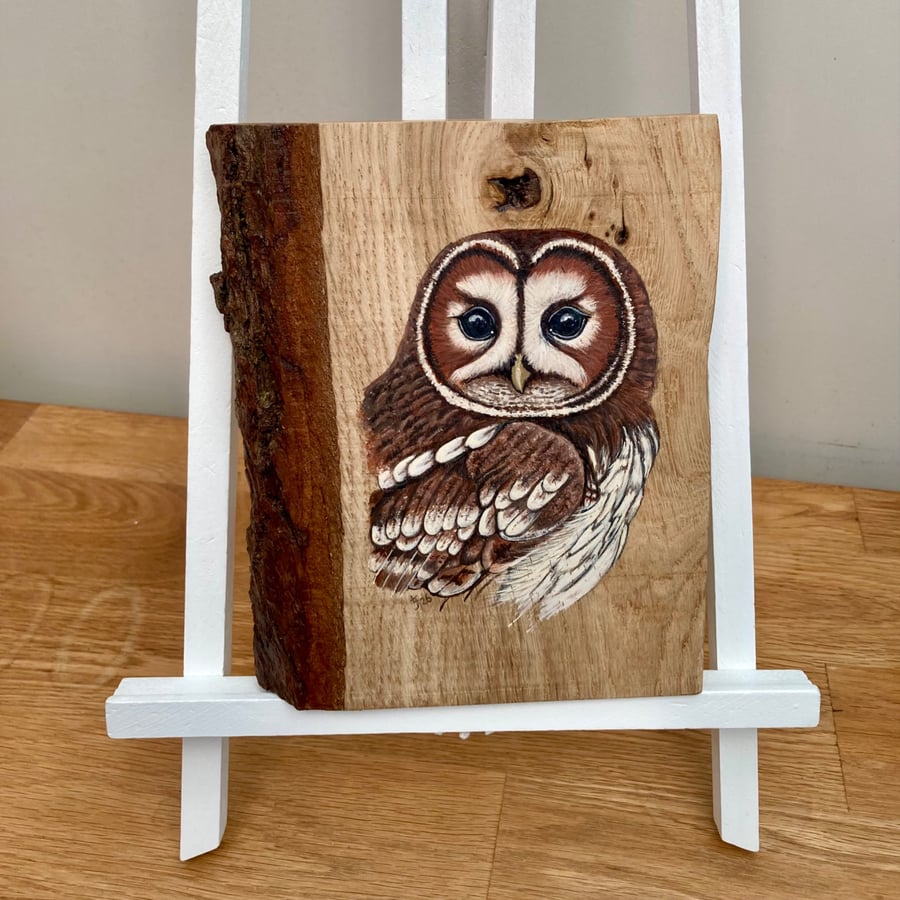 Tawny owl original painting on Oak wood
