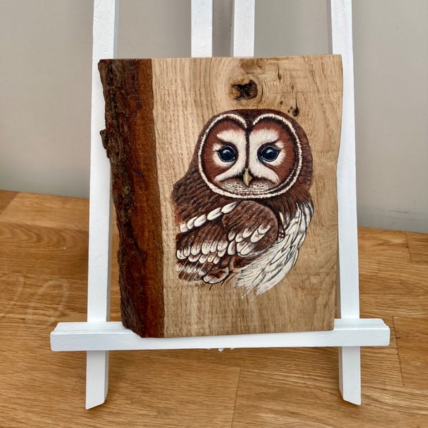 Tawny owl original painting on Oak wood