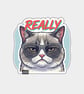 Funny Vinyl Sticker For Adults - Really Cat
