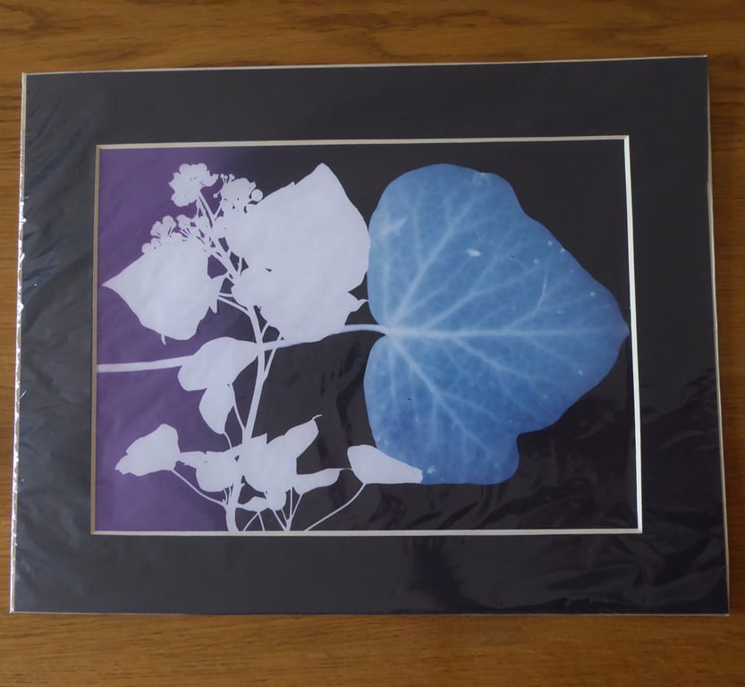 Ivy II Print from Original Photogram - Black mount to fit 11x14 inch frame