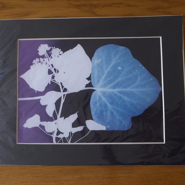 Ivy II Print from Original Photogram - Black mount to fit 11x14 inch frame