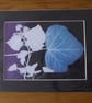 Ivy II Print from Original Photogram - Black mount to fit 11x14 inch frame