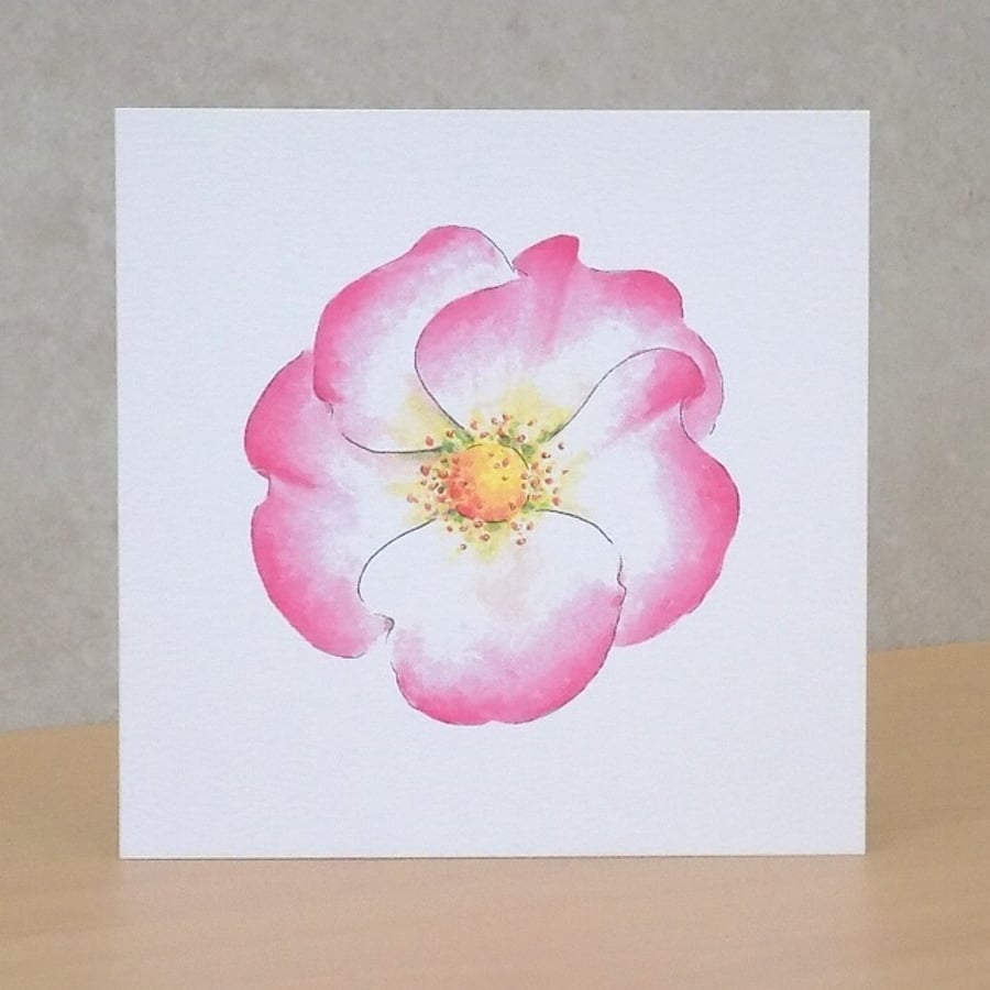 S A L E  Blank Card Wild rose Eco Friendly Seconds Sunday