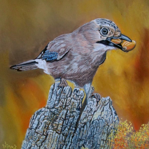 Bird on a Perch: Eurasian Jay