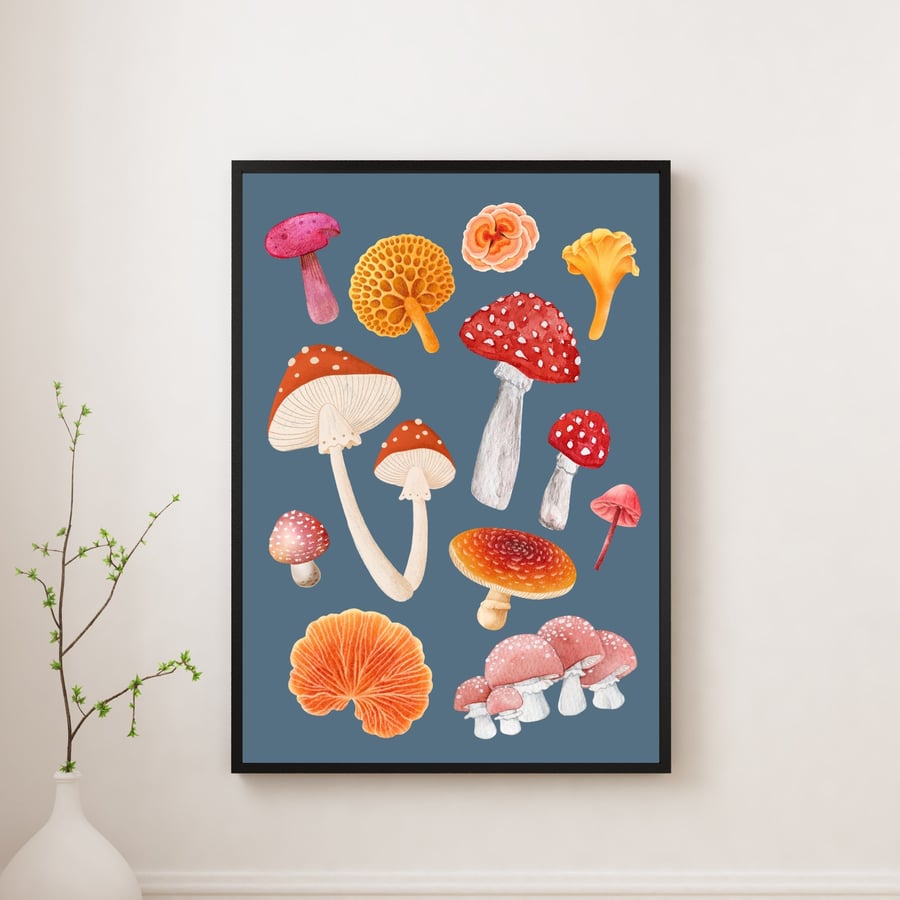 Toadstool, Mushroom, Fungus Botanical Wall Art