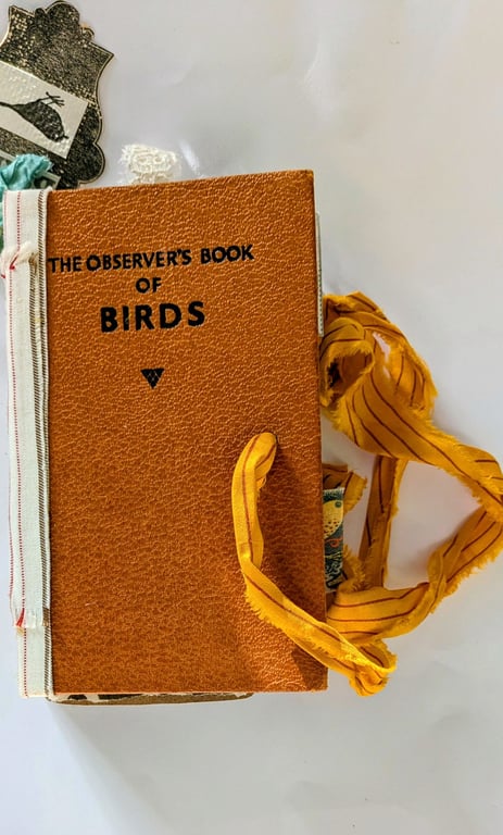 Observers book of birds journal 