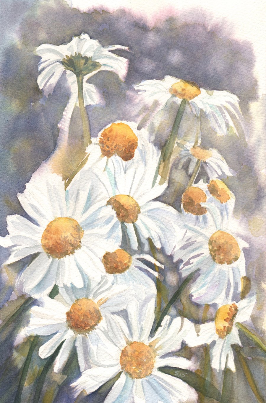 York Daisies, Daisy Painting, Daisy Art, Daisies, Original Art, White Flowers