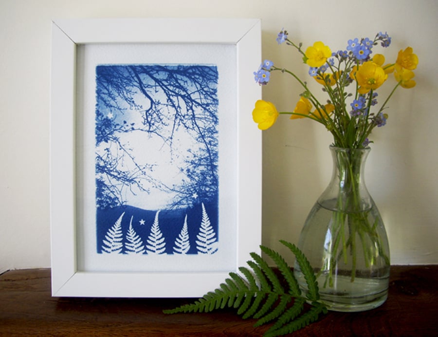 Fern forest twilight print (Free UK Postage)