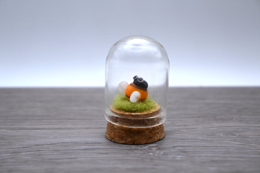 small glass bee cloche keepsake gift