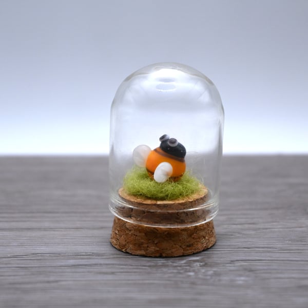 small glass bee cloche keepsake gift