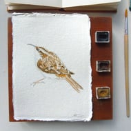 Original Watercolour Treecreeper Painting Unframed