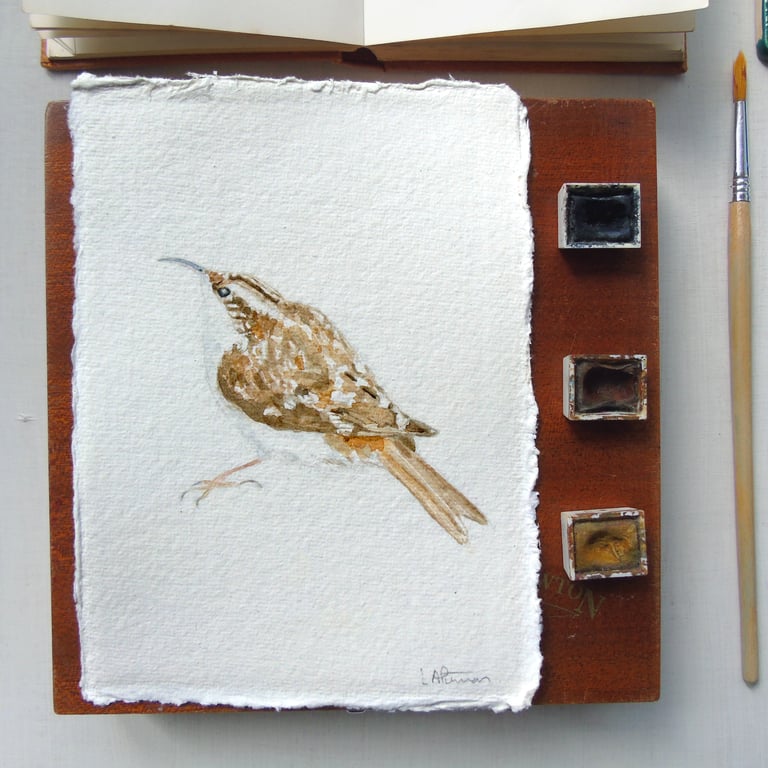 Original Watercolour Treecreeper Painting Unframed