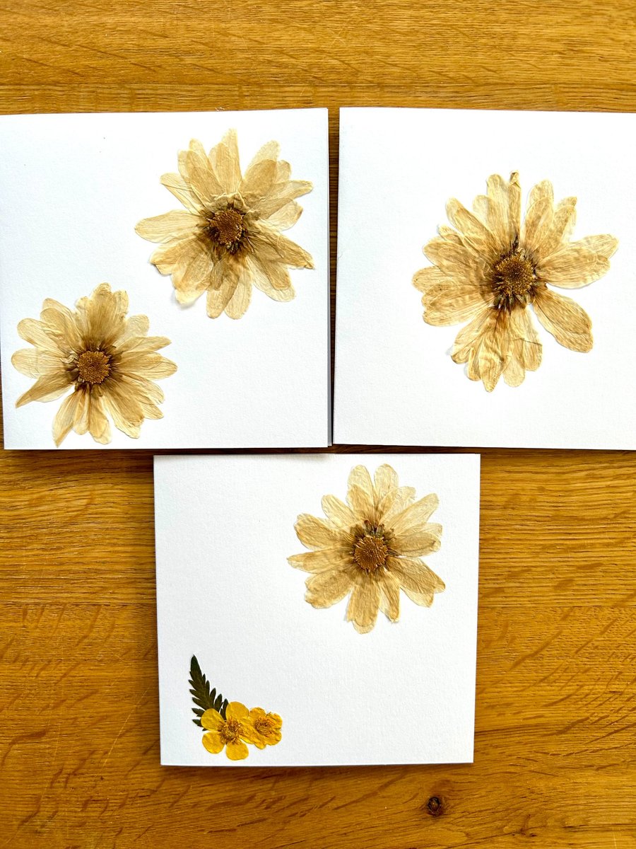 Pack of 3 greeting cards made with real pressed flowers found near home in Essex