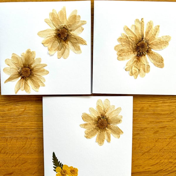 Pack of 3 greeting cards made with real pressed flowers found near home in Essex