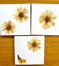 Pack of 3 greeting cards made with real pressed flowers found near home in Essex
