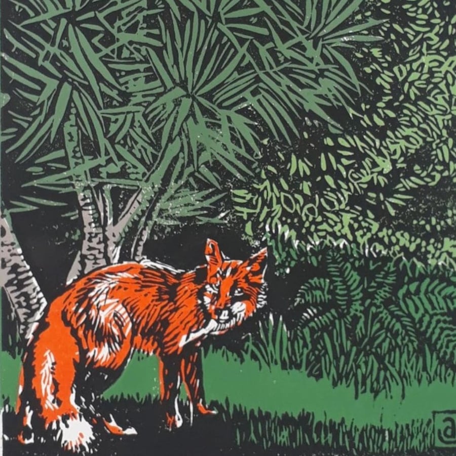 Fox and the Yucca