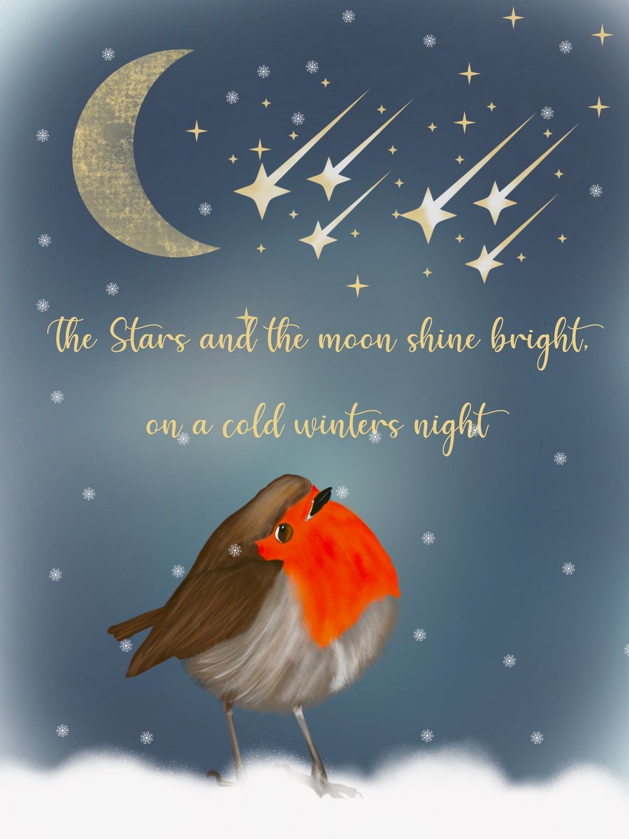 Robin Christmas Card - The Moon & Stars Shine Bright