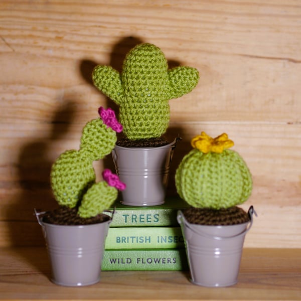 Crochet cacti set of three in metal buckets, mustard and dark pink flowers