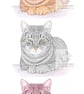 Three Cats -  Blank Card - Image 1