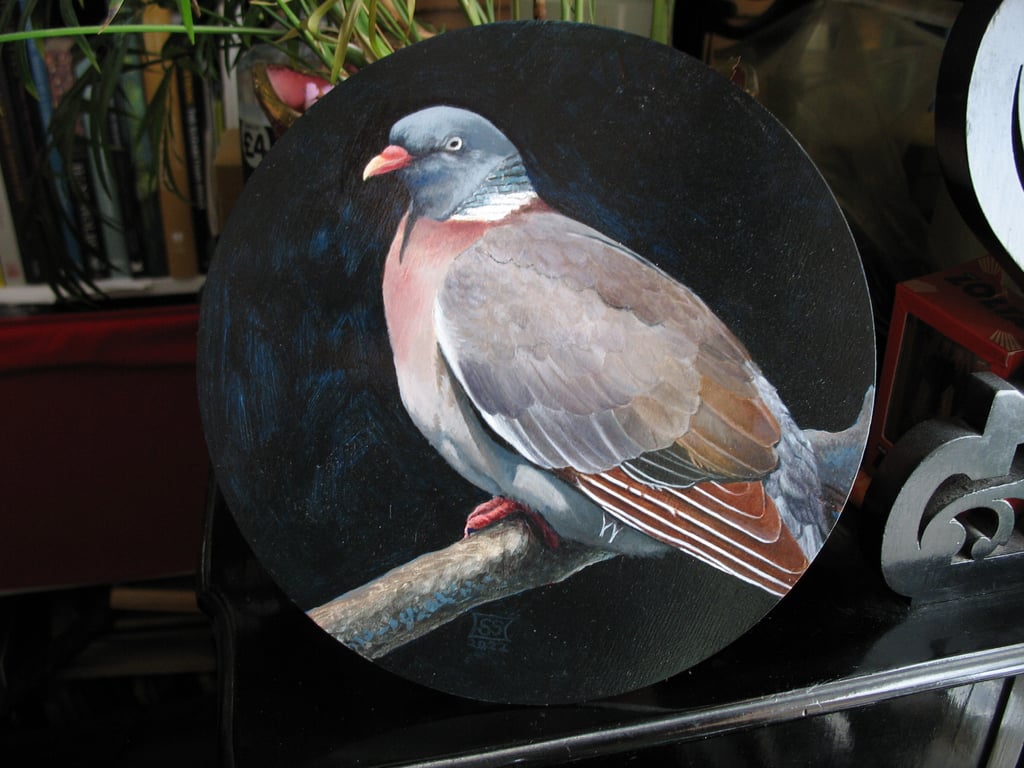 SALE! Round Wood Pigeon oil painting on panel 