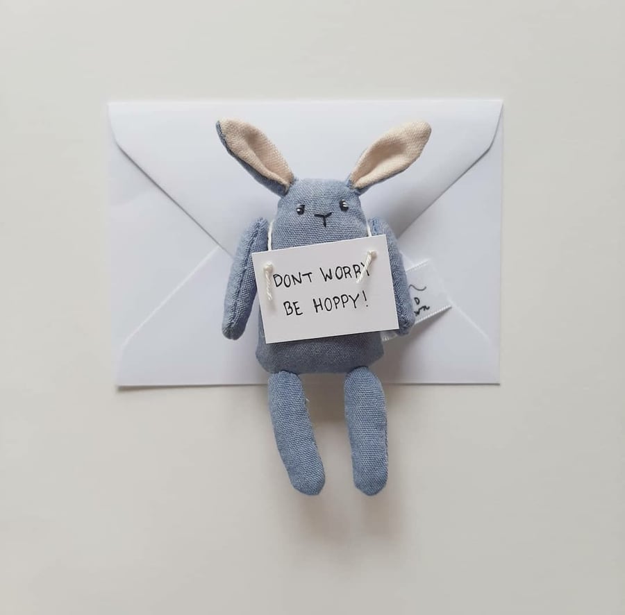 Blue Easter Pocket Bunny, Seasonal Limited, Gift
