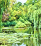 A4 Print Of Willows Gooderstone Water Gardens Norfolk 