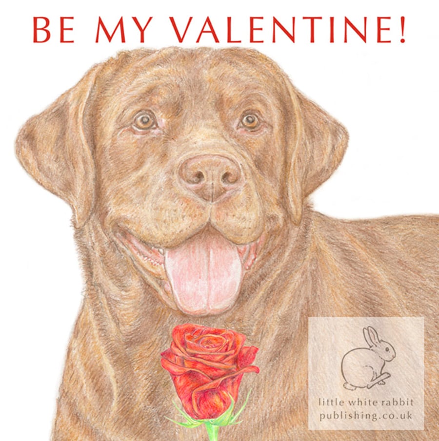 Bruno the Chocolate Labrador - Valentine Card