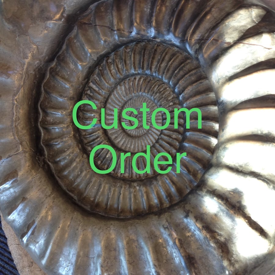 Custom order for Pointerlady