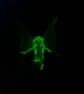 Commission Glow in the Dark Fairy Handmade