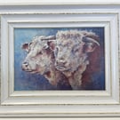 Herefords. Framed Special Edition Canvas Print 