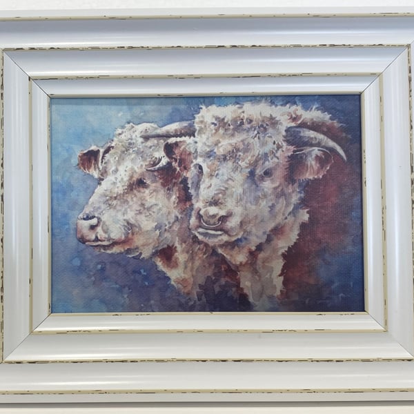 Herefords. Framed Special Edition Canvas Print 