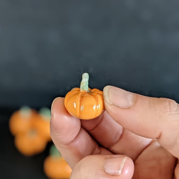 Mini Pumpkins