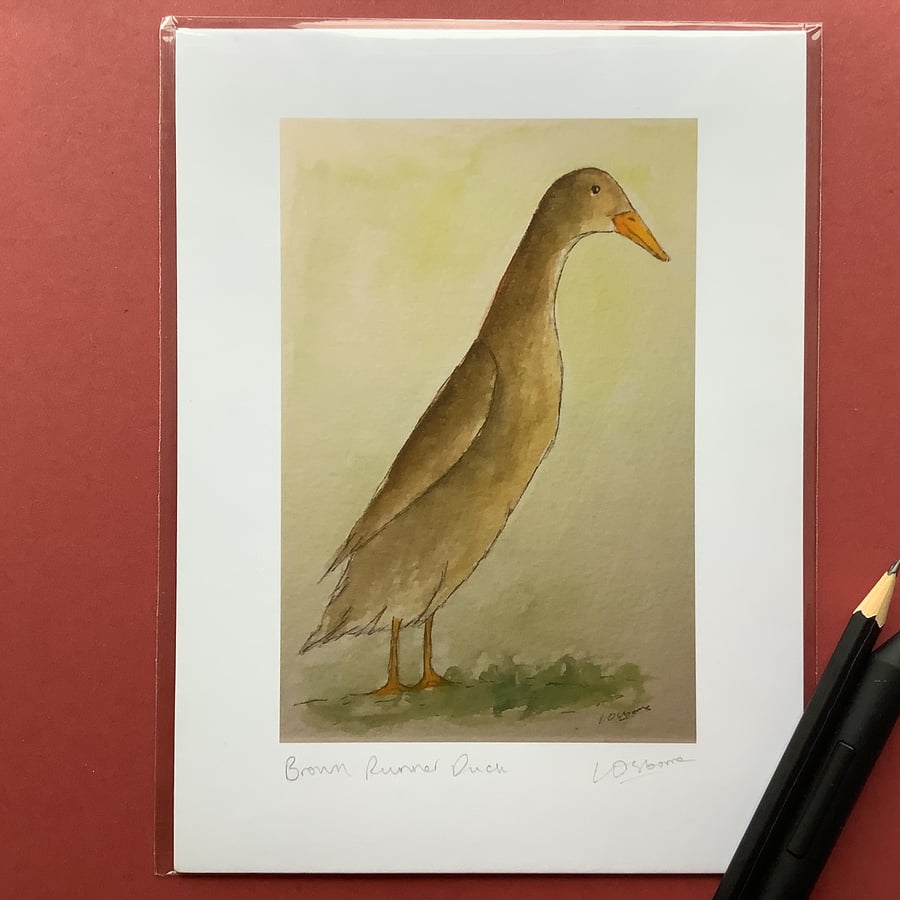 Brown runner duck - signed print from watercolour
