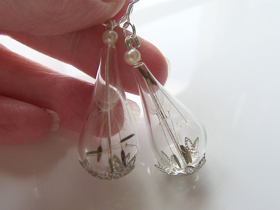 Real Dandelion Seeds Teardrop Earrings - MAKE A WISH