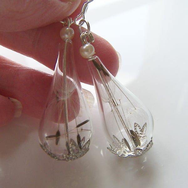 Real Dandelion Seeds Teardrop Earrings - MAKE A WISH