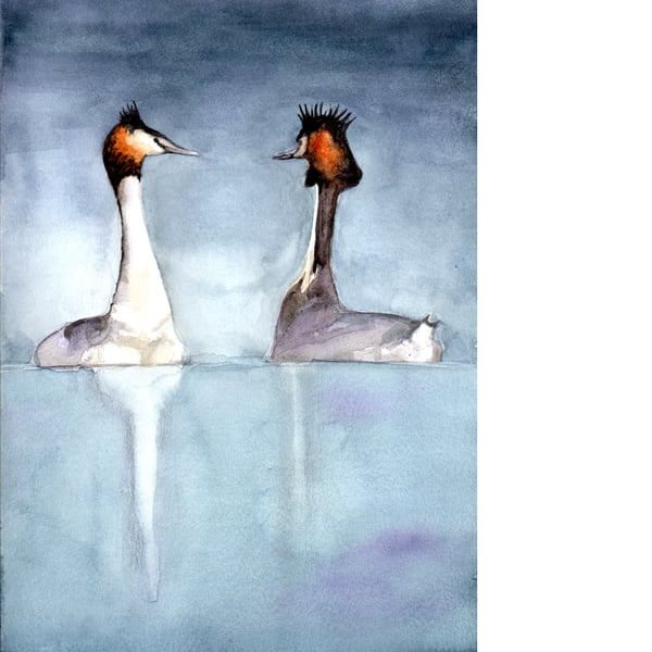 Great Crested Grebes. Original watercolour painting.