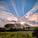 Moorland Spinney
