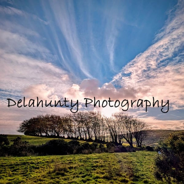 Moorland Spinney