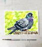 Original Fat Pigeon Painting - Bird Gouache Painting - One of a kind