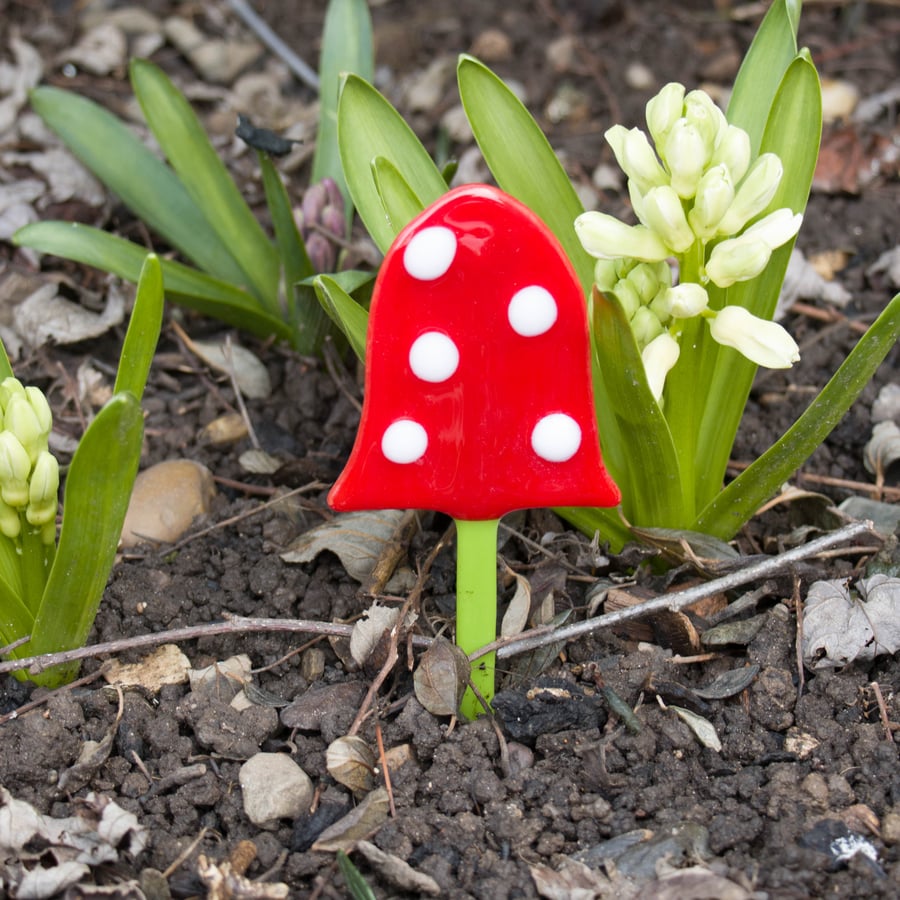 Pot Toadstool - Red with White Spots - 6104