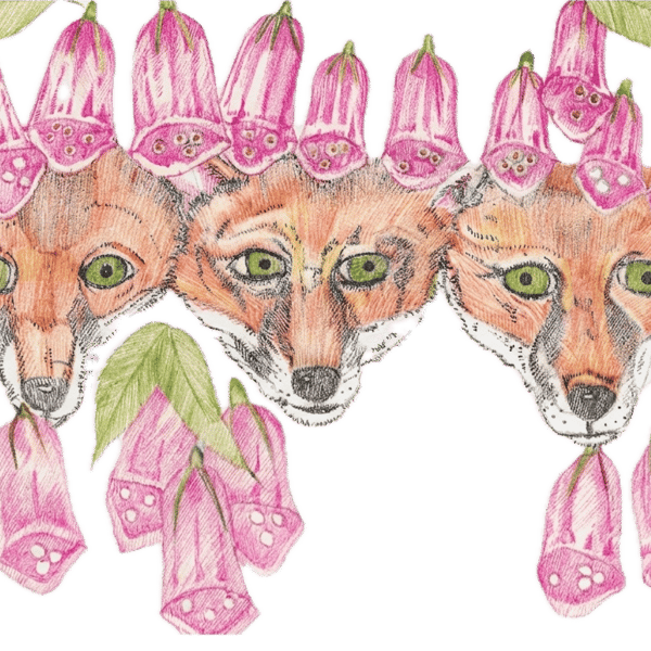 Foxes in the foxgloves