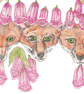 Foxes in the foxgloves