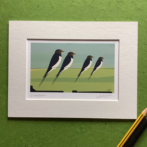 Swallows - signed print of birds