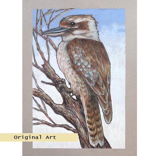 Kookaburra bird artwork, original drawing, wildlife artwork