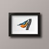 Original Nuthatch lino print limited edition